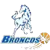 休姆城野马女篮